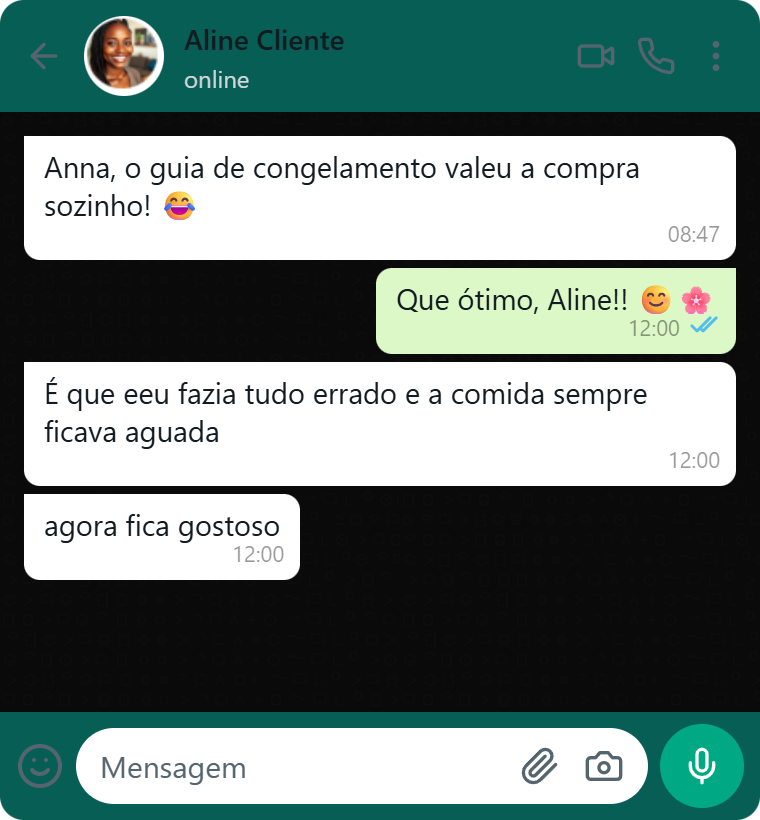 Conversa no WhatsApp elogiando o guia de congelamento